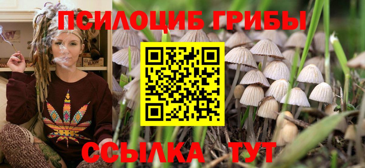 Минеральные Воды  Галлюциногенные грибы MAGIC MUSHROOMS  Вход с VPN 